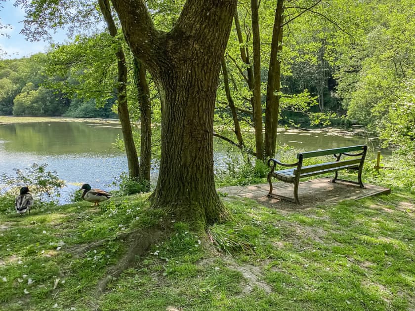 Surrounding area | Sun Valley-Tranquillity - Sun Valley, Stockton Brook, near Leek