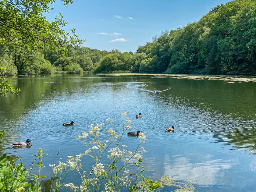 Surrounding area | Sun Valley-Tranquillity - Sun Valley, Stockton Brook, near Leek