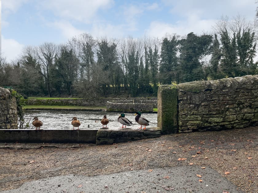 Surrounding area | Coach House, Ashford-in-the-Water, near Bakewell