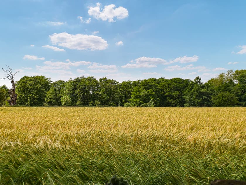 Surrounding area | Pottles Cottage - Pottles Barn Holiday Cottages, Surlingham
