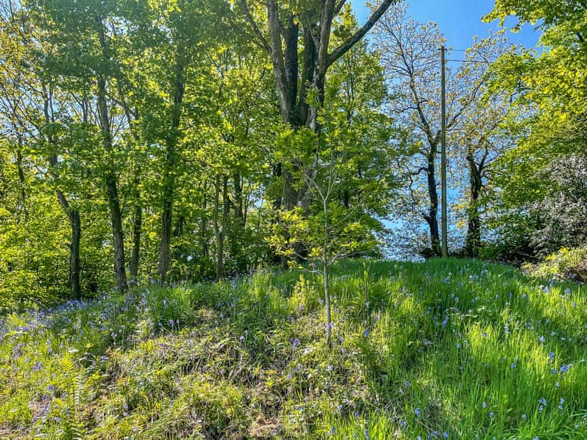 Surrounding area | Old Stables Cottage, Ponthirwaun