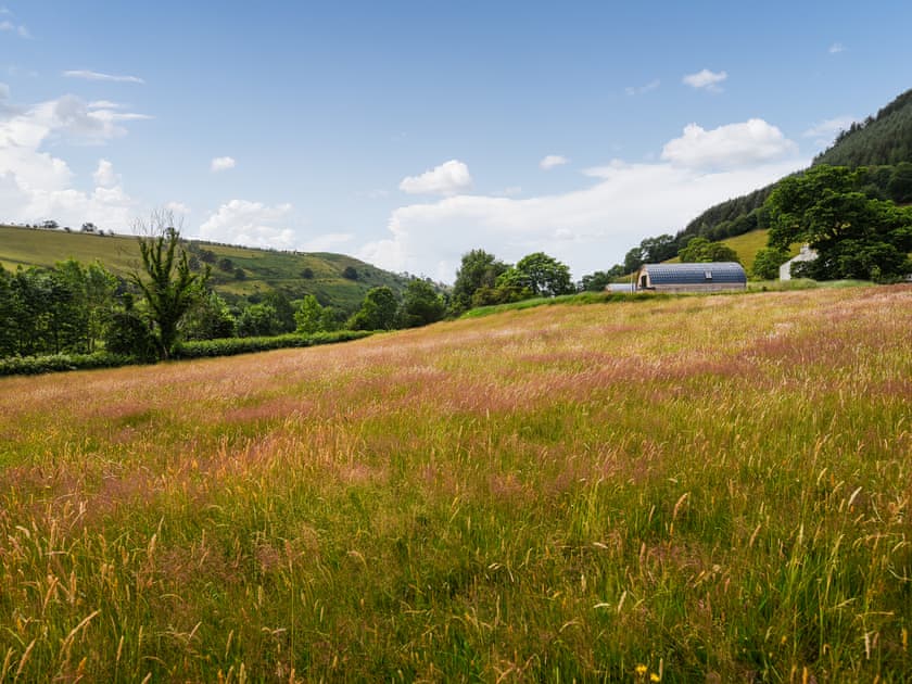 Surrounding area | Barcud Coch - Y Gadlas, Penybontfawr, near Llanfyllin