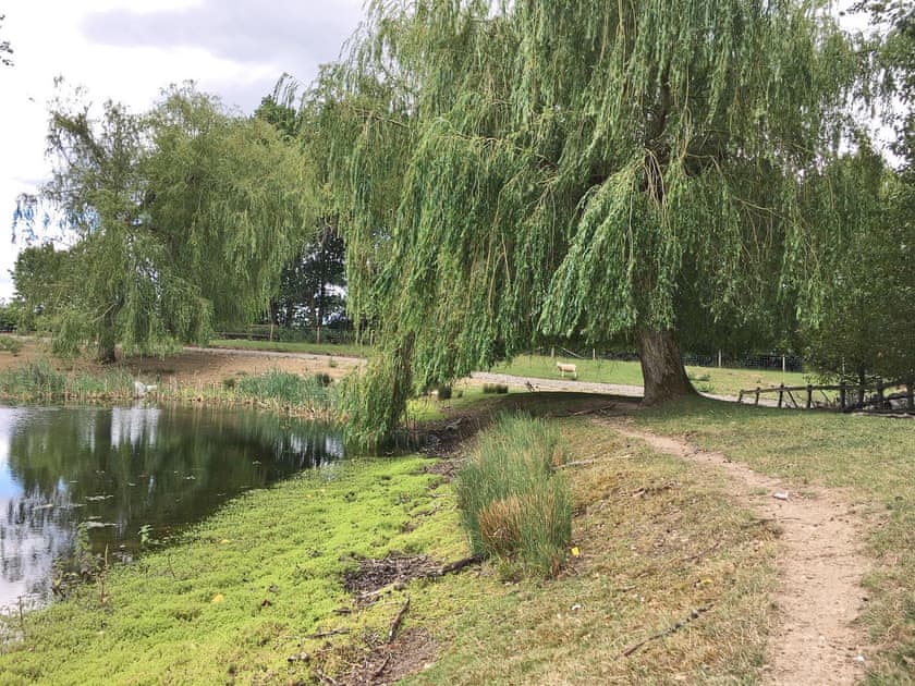 Surrounding area | Willow Cottage - Broad View Farm, Blacknest, near Alton