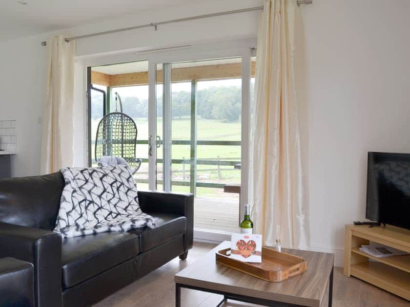 Living area | Cedar Lodge - Broad View Farm, Blacknest, near Alton