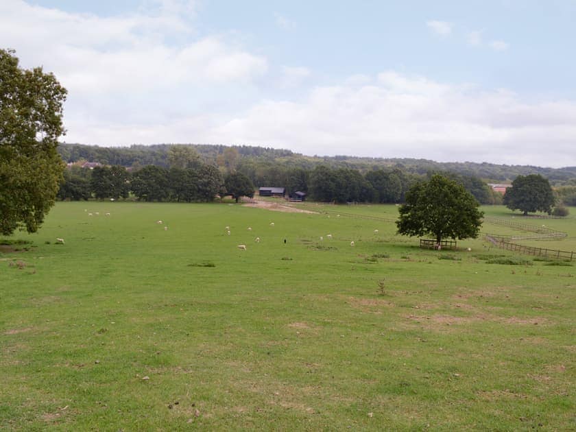 Surrounding area | Ash Lodge - Broad View Farm, Blacknest, near Alton
