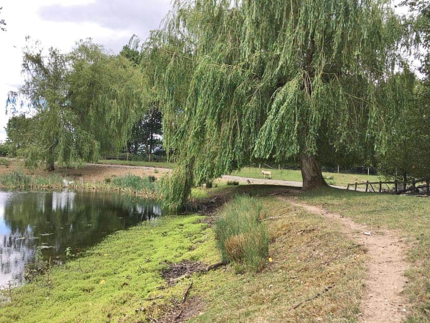 Surrounding area | Ash Lodge - Broad View Farm, Blacknest, near Alton