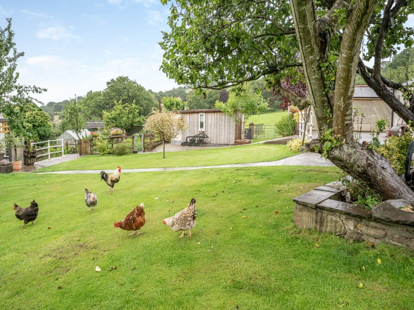 Exterior | Molehill Lodge, Ammanford