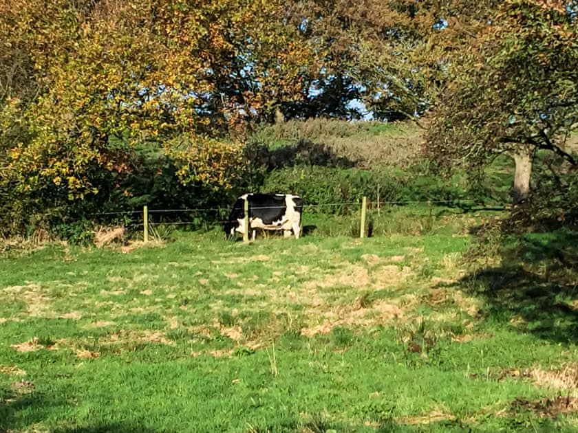 Surrounding area | Sun Valley-Tranquillity - Sun Valley, Stockton Brook, near Leek