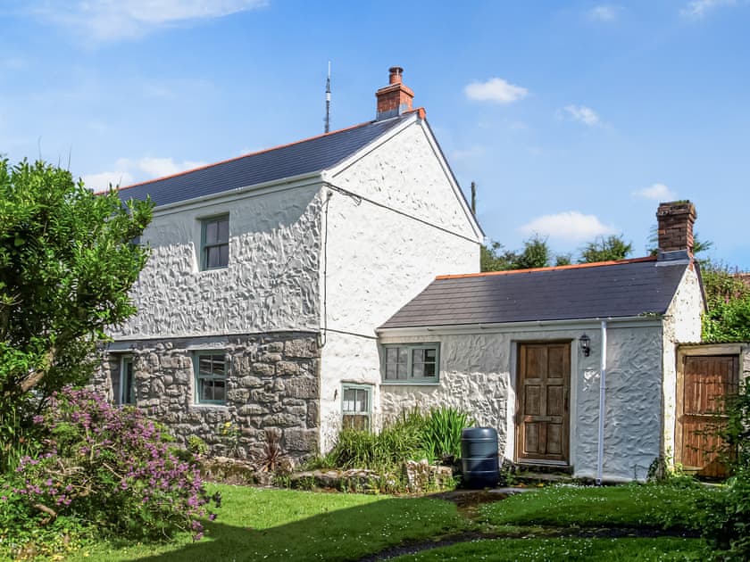 Hillhead Farm Barn Owl in Carnkie, near Redruth