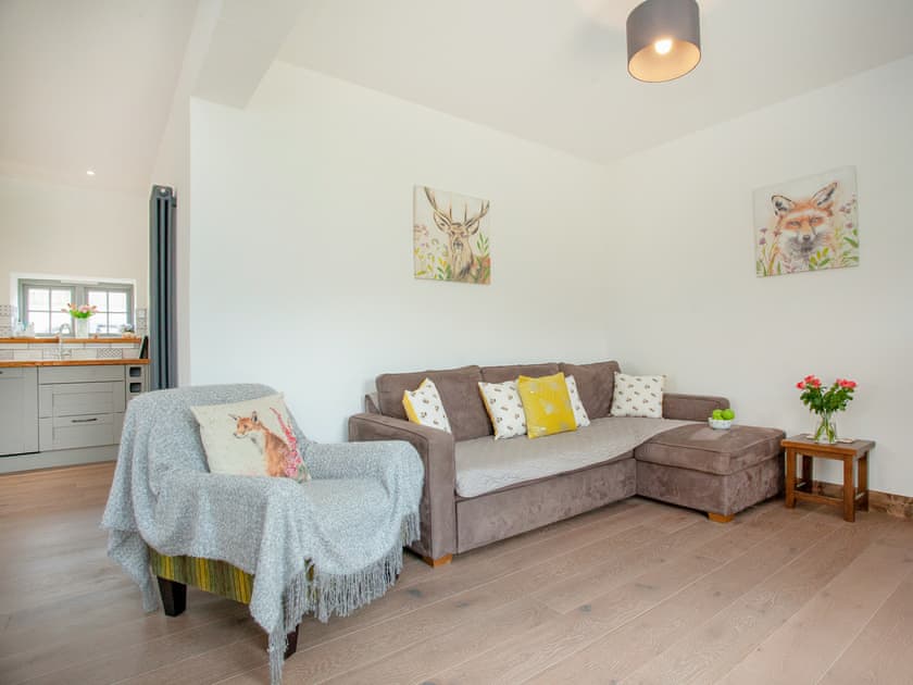 Living area | Hog End - Old Highwood, Dunkeswell