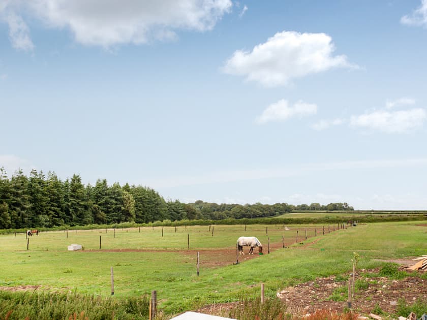 View | Hog End - Old Highwood, Dunkeswell