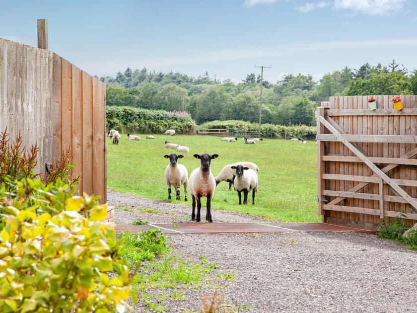 View | Hog End - Old Highwood, Dunkeswell
