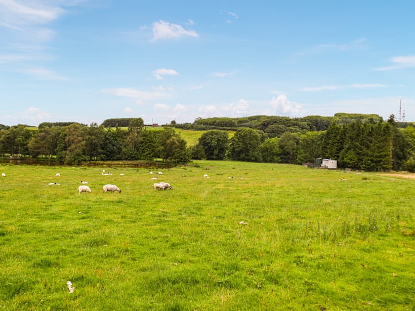View | Beverley’s Hideaway - Oakenclough House, Oakenclough