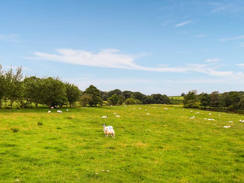 View | Beverley’s Hideaway - Oakenclough House, Oakenclough
