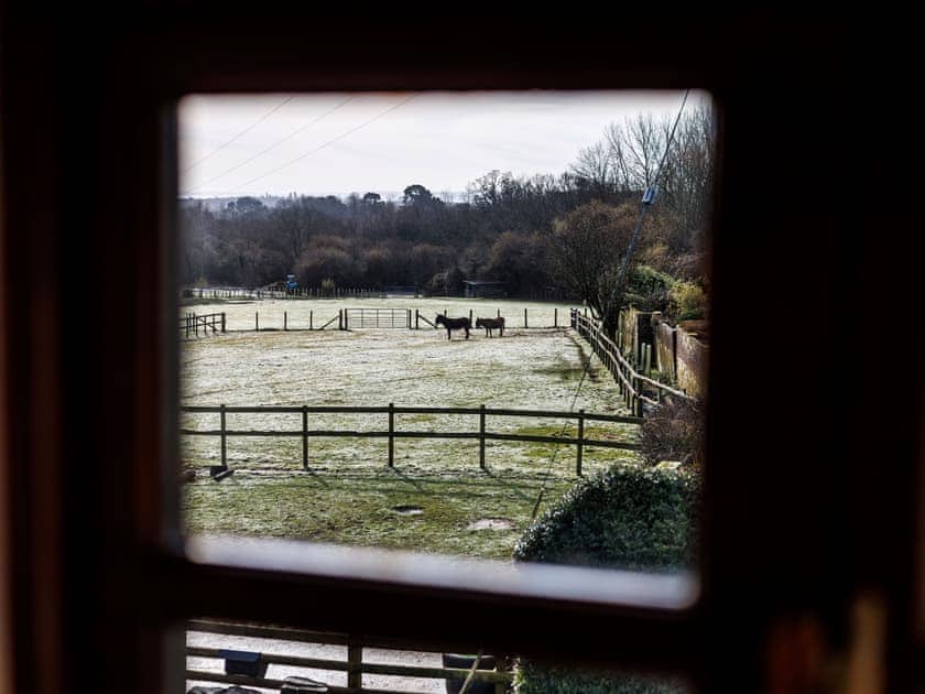 Bedroom view  | Purbeck View - Holly Hedge Farm, Holly Hedge Farm
