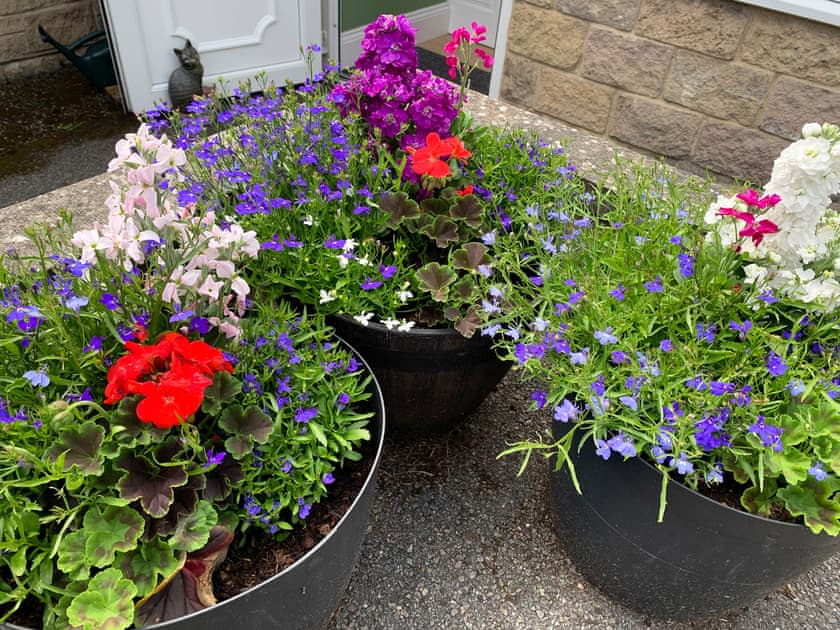 Outdoor area | Keepsake View, Matlock