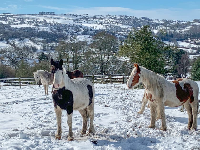 Surrounding area | Keepsake View, Matlock