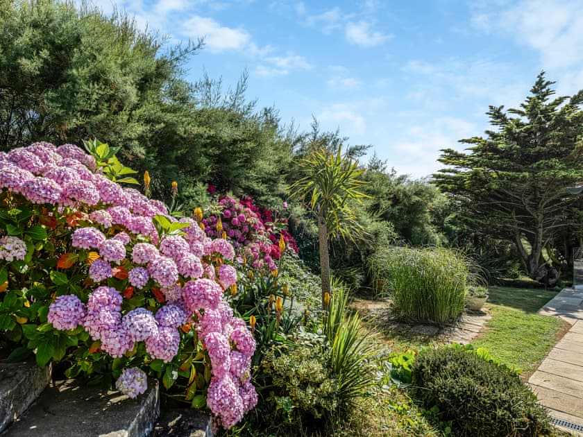 Garden | Blue Seas, Mawgan Porth