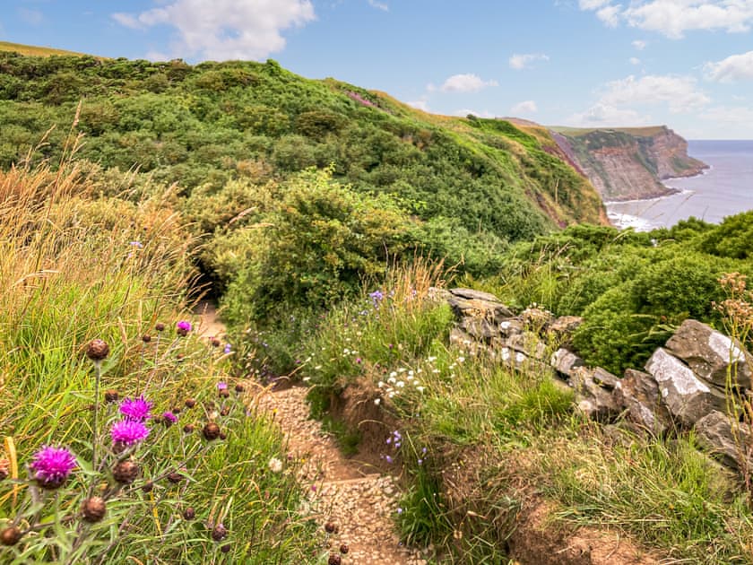 Surrounding area | Rose Cottage, Sandsend