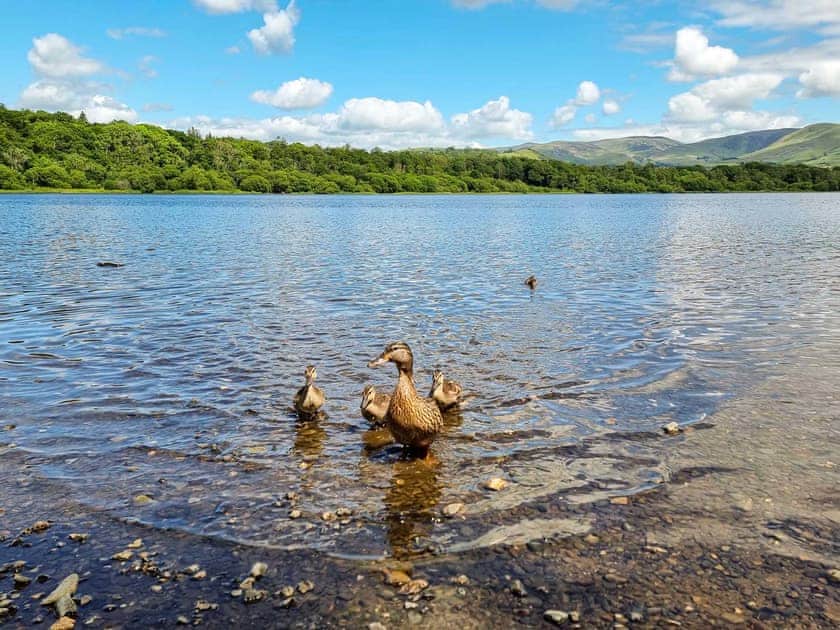Surrounding area | Osprey Cottage, Bassenthwaite, near Keswick