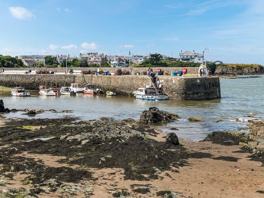 Waiting for a boat trip  | Harbour View, Cemaes Bay