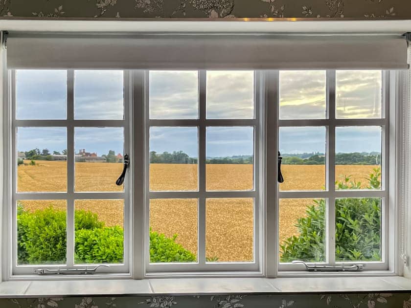 View | Marshmede, Stodmarsh, near Canterbury