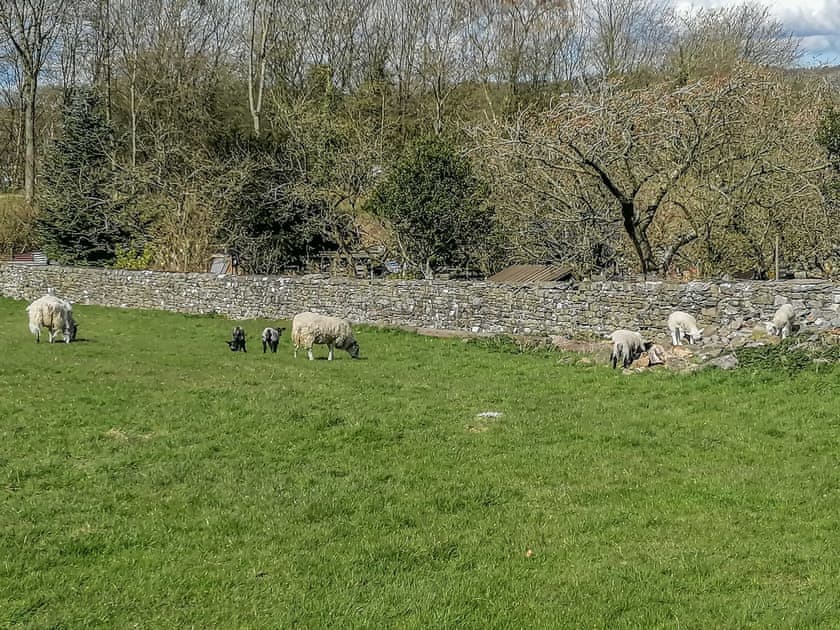 Surrounding area | Hoopers End, Sedgwick, near Kendal