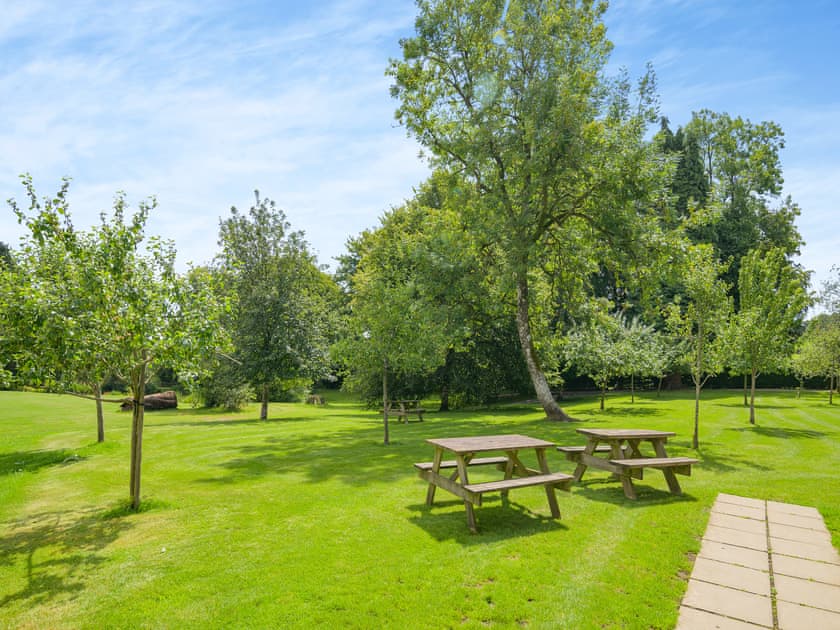 Garden and grounds | Hooke Court, Hooke, near Beaminster