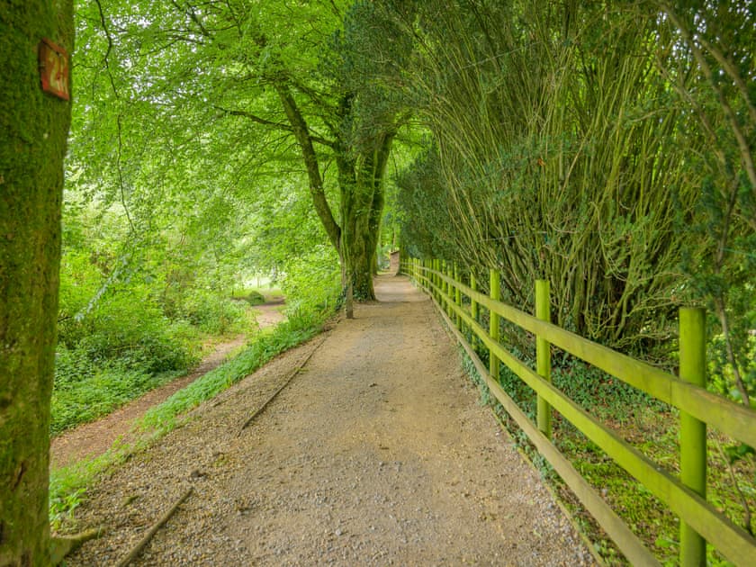 Garden and grounds | Hooke Court, Hooke, near Beaminster