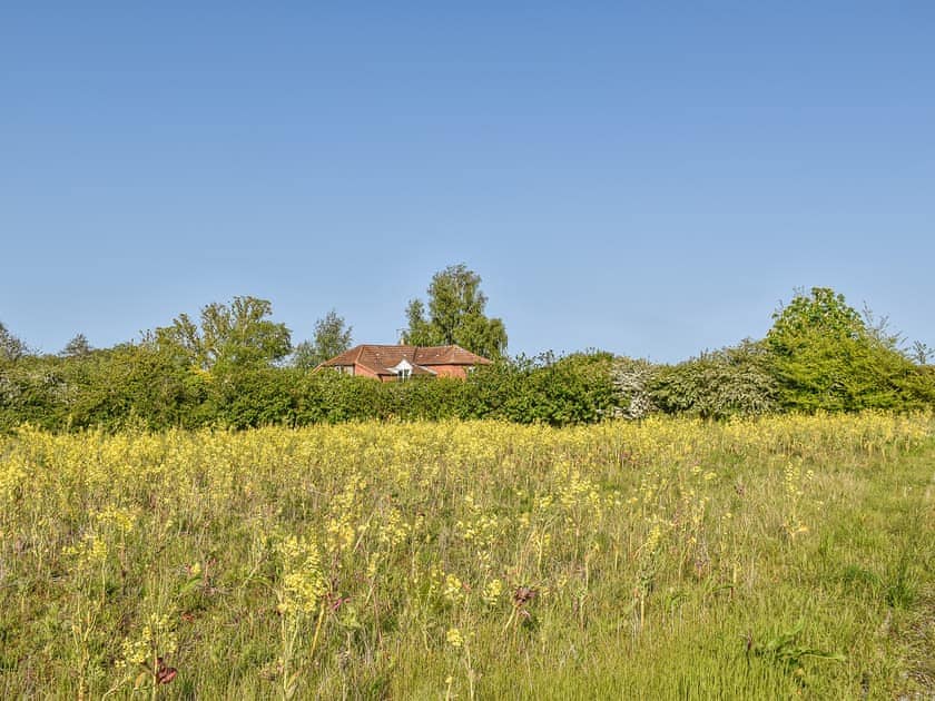Surrounding area | Baythorn End, Bradfield Common, near North Walsham