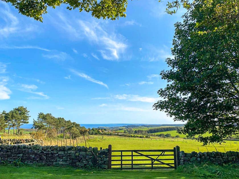 Surrounding area | Smuggler’s View, Ravenscar, near Robin Hoods Bay