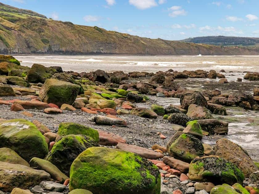 Surrounding area | Smuggler’s View, Ravenscar, near Robin Hoods Bay