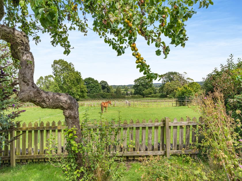 View | Wheelwright’s Cottage, Rodsley, near Ashbourne