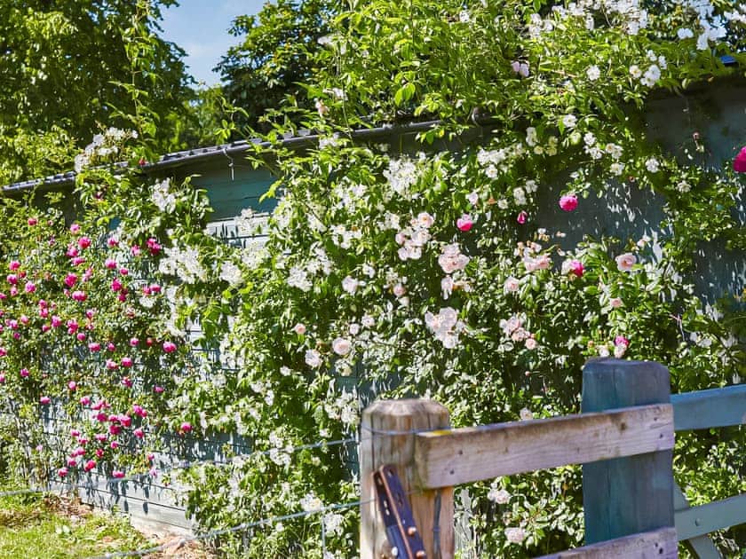 Garden | Mere Croft, Sowerby Row near Penrith