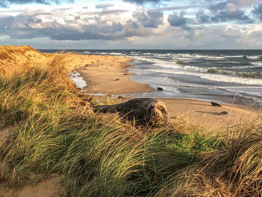 Surrounding area | Captain’s Cottage, Winterton-on-Sea