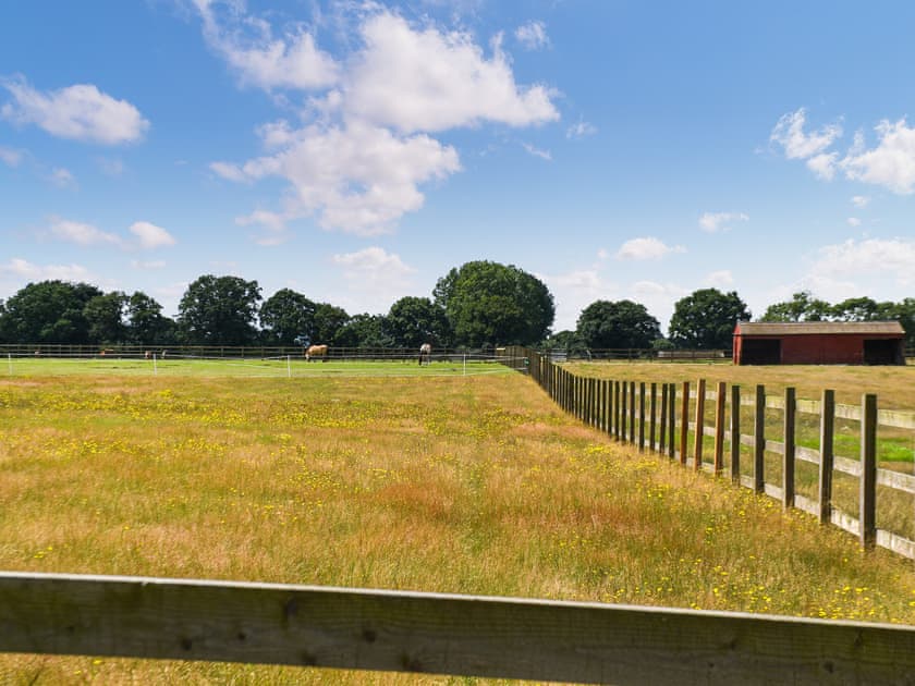 View | Wild Grape Lodge, Fritton, near Great Yarmouth