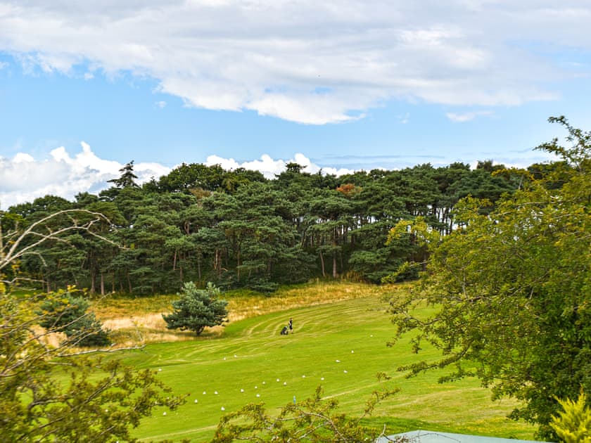 View | Wild Grape Lodge, Fritton, near Great Yarmouth