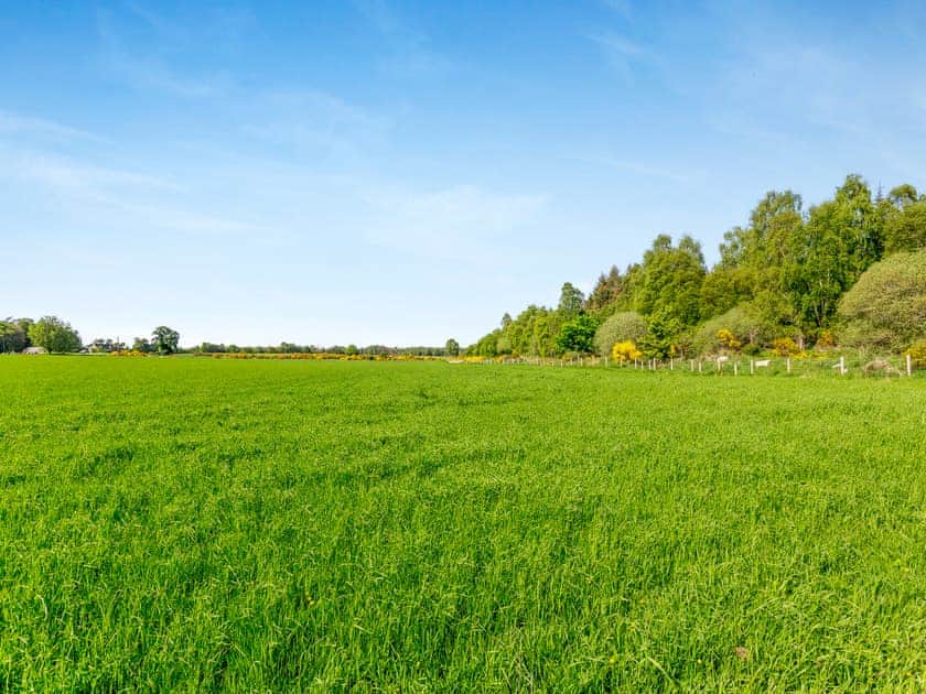 Garden and grounds | The Laurels, Forres