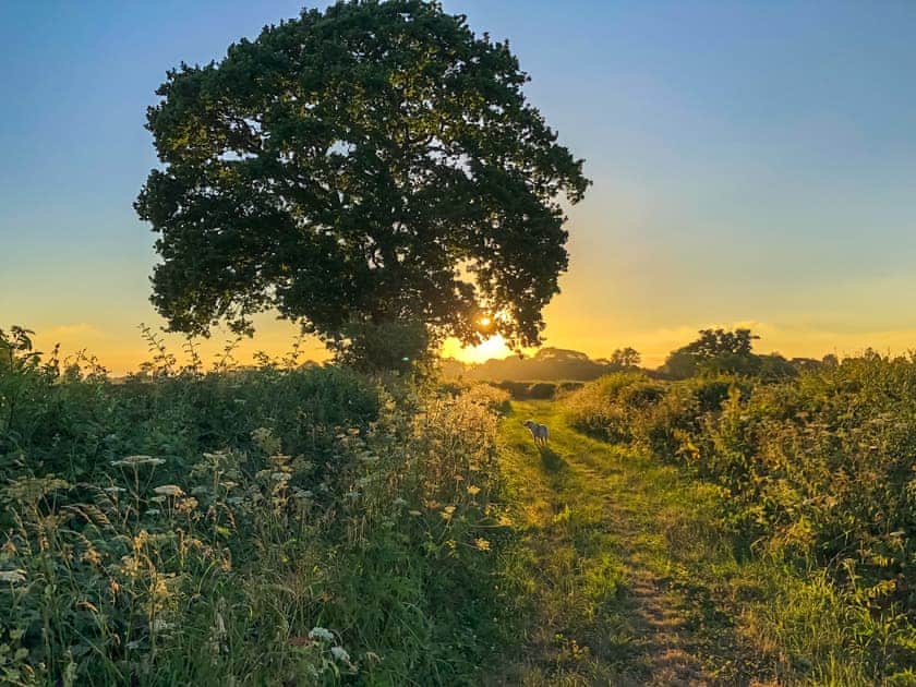 Sunset in the village  | Elm Cottage, Thornton-le-Moor, near Northallerton
