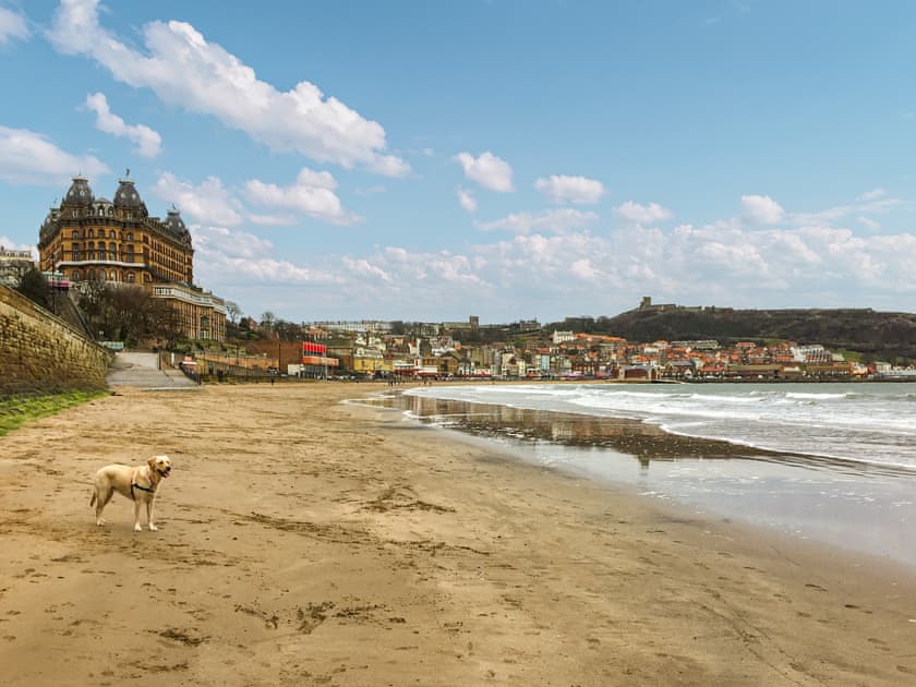 Scarborough Beach  | Elm Cottage, Thornton-le-Moor, near Northallerton