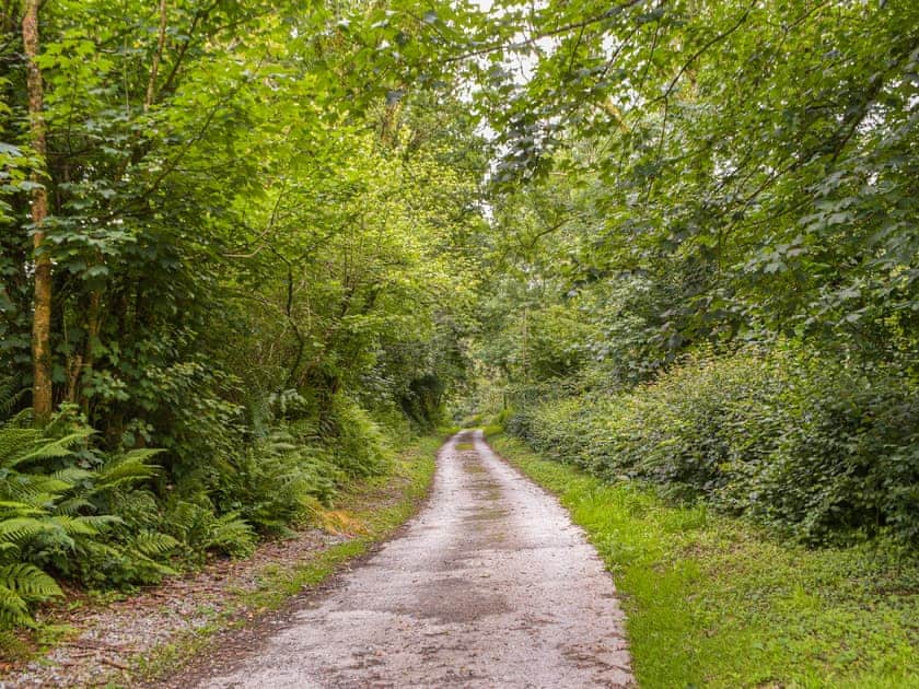 Surrounding area | Carnau Bach - Brynawelon Farm, Meidrim, near Carmarthen