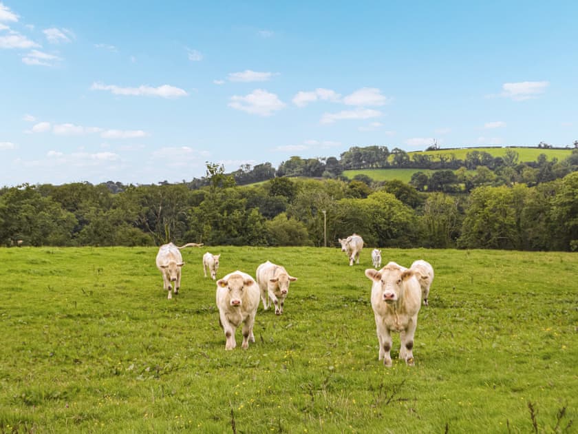 Surrounding area | Carnau Mawr - Brynawelon Farm, Meidrim, near Carmarthen