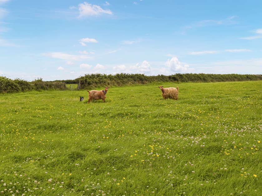 Surrounding area | Carnau Mawr - Brynawelon Farm, Meidrim, near Carmarthen