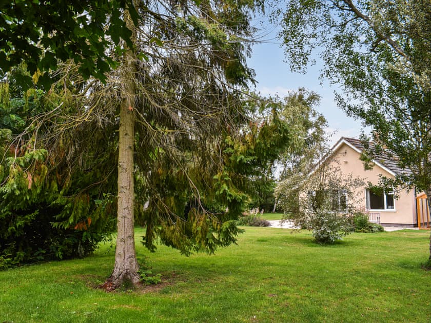 Garden and grounds | An Croke, Bury St Edmunds