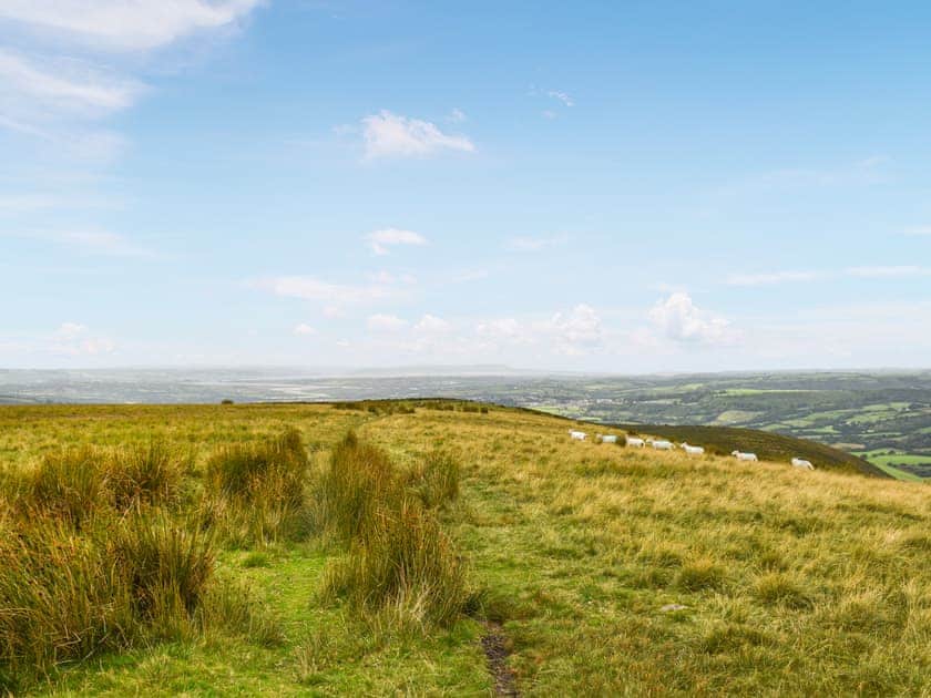Surrounding area | Llandremor Fawr Cottage - Llandremor Fawr Holidays, Pontarddulais