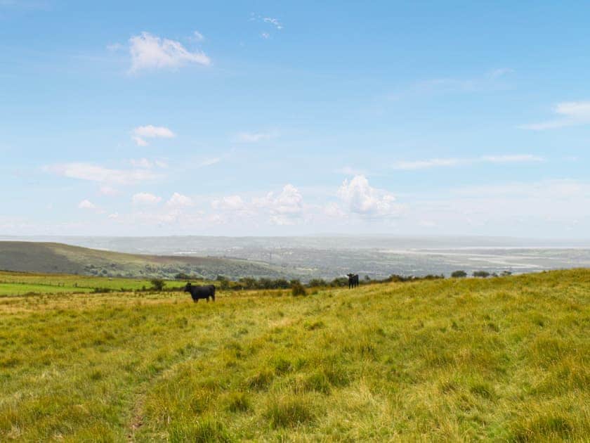 Surrounding area | Llandremor Fawr Cottage - Llandremor Fawr Holidays, Pontarddulais