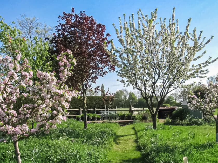 Garden | The Cottage Barn, Burgate, near Diss