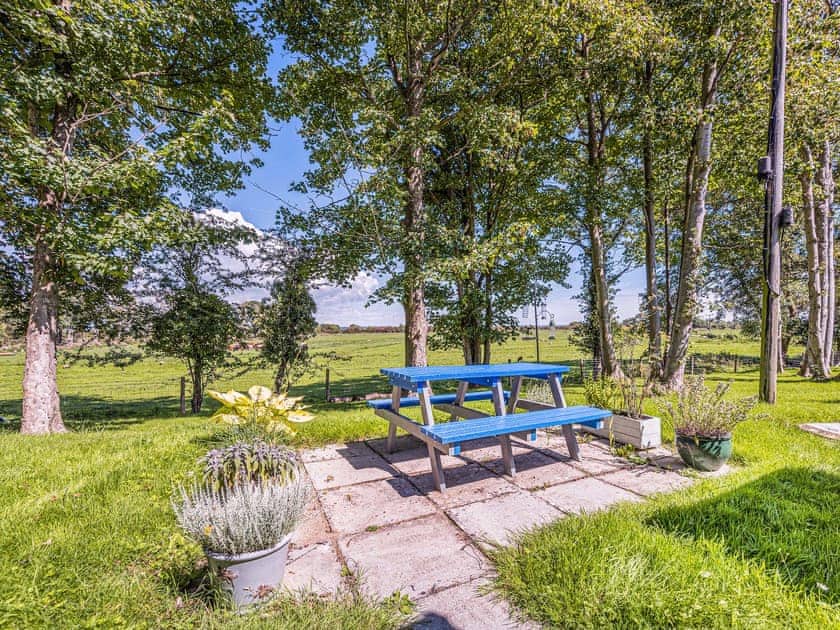 Garden | Sheep’s View Cottage, Eastbourne