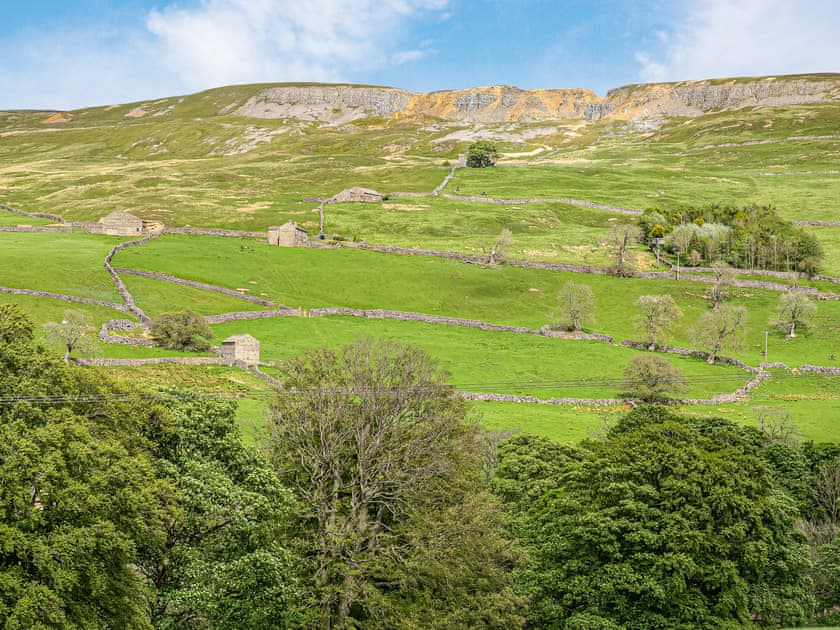 View | Swallowholm, Arkengarthdale