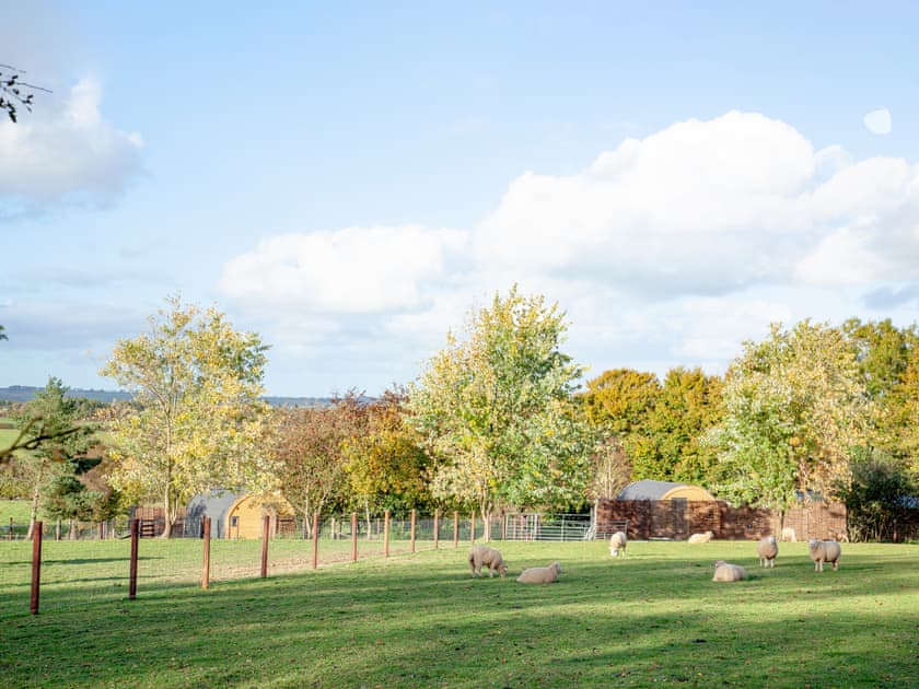 Surrounding area | Rackenford - Secret Skies, Knowstone